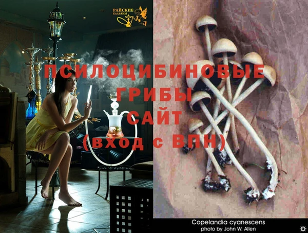 круглые Балахна