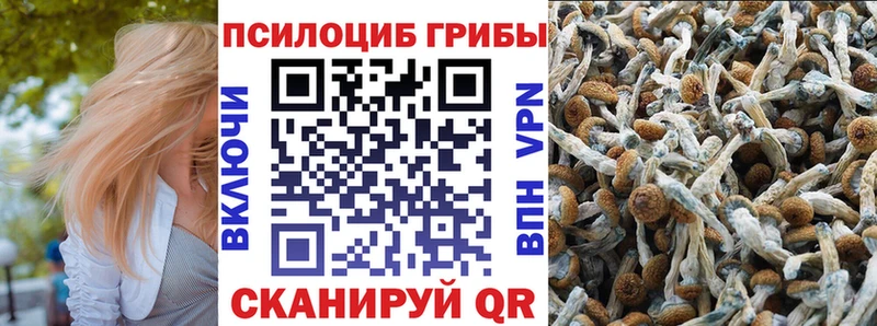 hydra вход Унеча Галлюциногенные грибы GOLDEN TEACHER купить наркоту