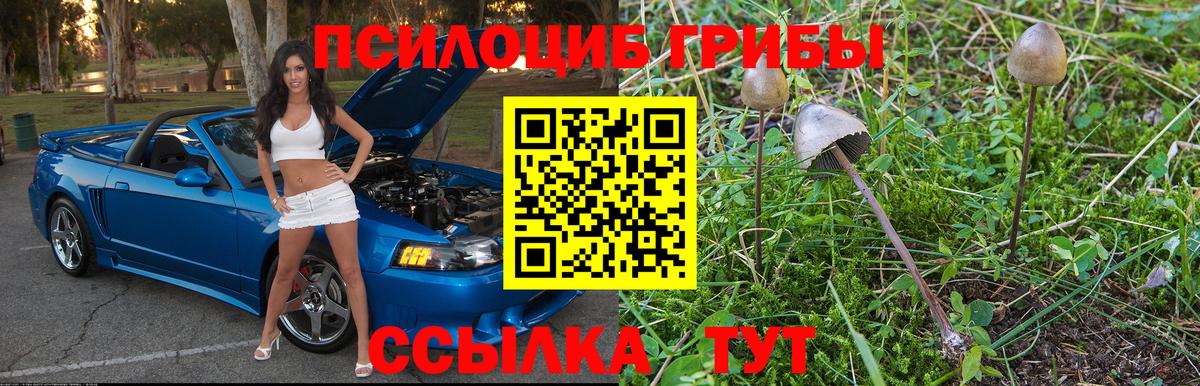 Унеча  Псилоцибиновые грибы GOLDEN TEACHER  Галлюциногенные грибы мицелий  Вход с VPN 